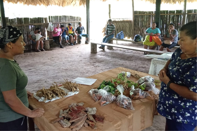 Seguridad Alimentaria Sé Káné