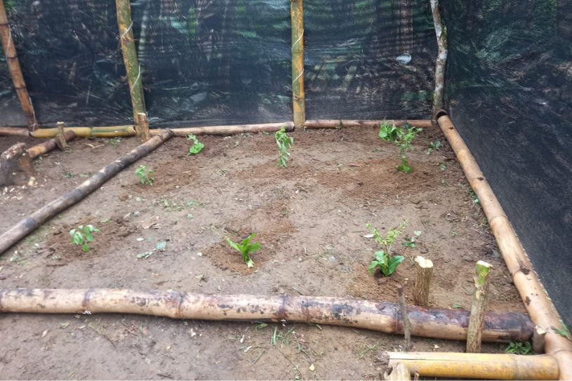 Sembrando nuestra mejor semilla